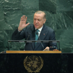 Erdoğan BM